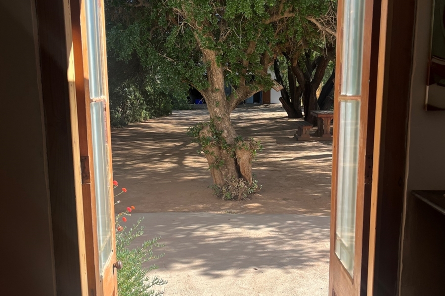 4 Bedroom Property for Sale in Steytlerville Eastern Cape
